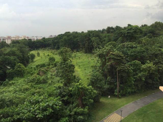 Blk 134 Ang Mo Kio Avenue 3 (Ang Mo Kio), HDB 4 Rooms #121884842